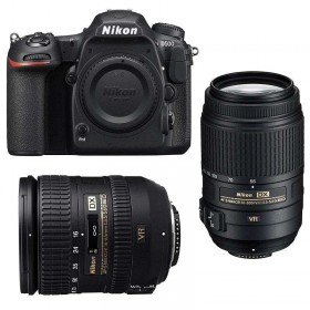 Nikon D500 + AF-S DX 16-85 mm F3.5-5.6G ED VR + AF-S DX 55-300 mm F4.5-5.6 G ED VR - Appareil photo Reflex
