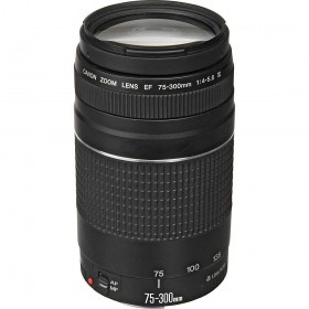 Canon EF 75-300mm F4.0-5.6 III - Objectif photo