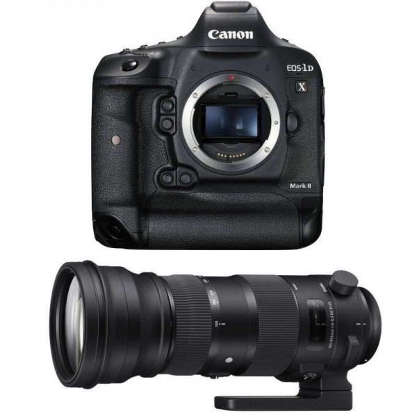 Canon 1DX Mark II + Sigma 150-600mm F5.0-6.3 DG OS HSM Sports - Appareil photo Reflex