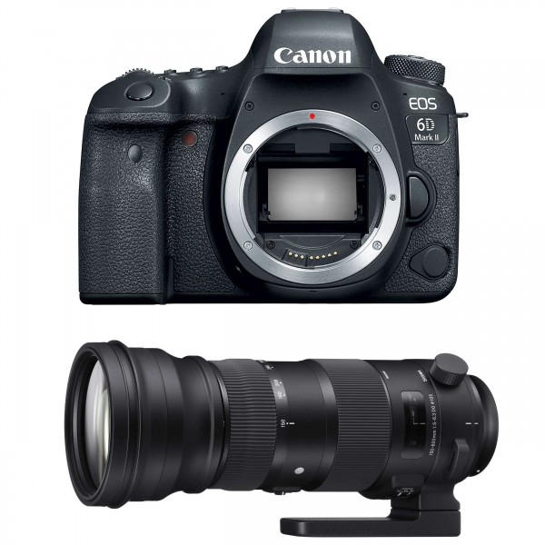 Canon 6D Mark II + Sigma 150-600mm F5.0-6.3 DG OS HSM Sports - Appareil photo Reflex